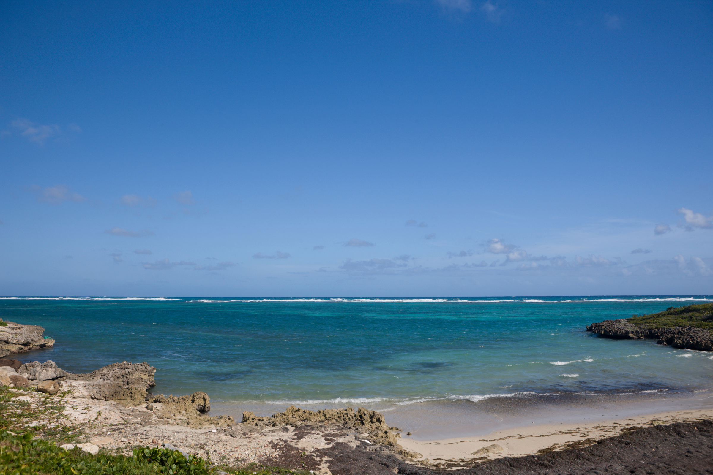 bounty islands (3).webp